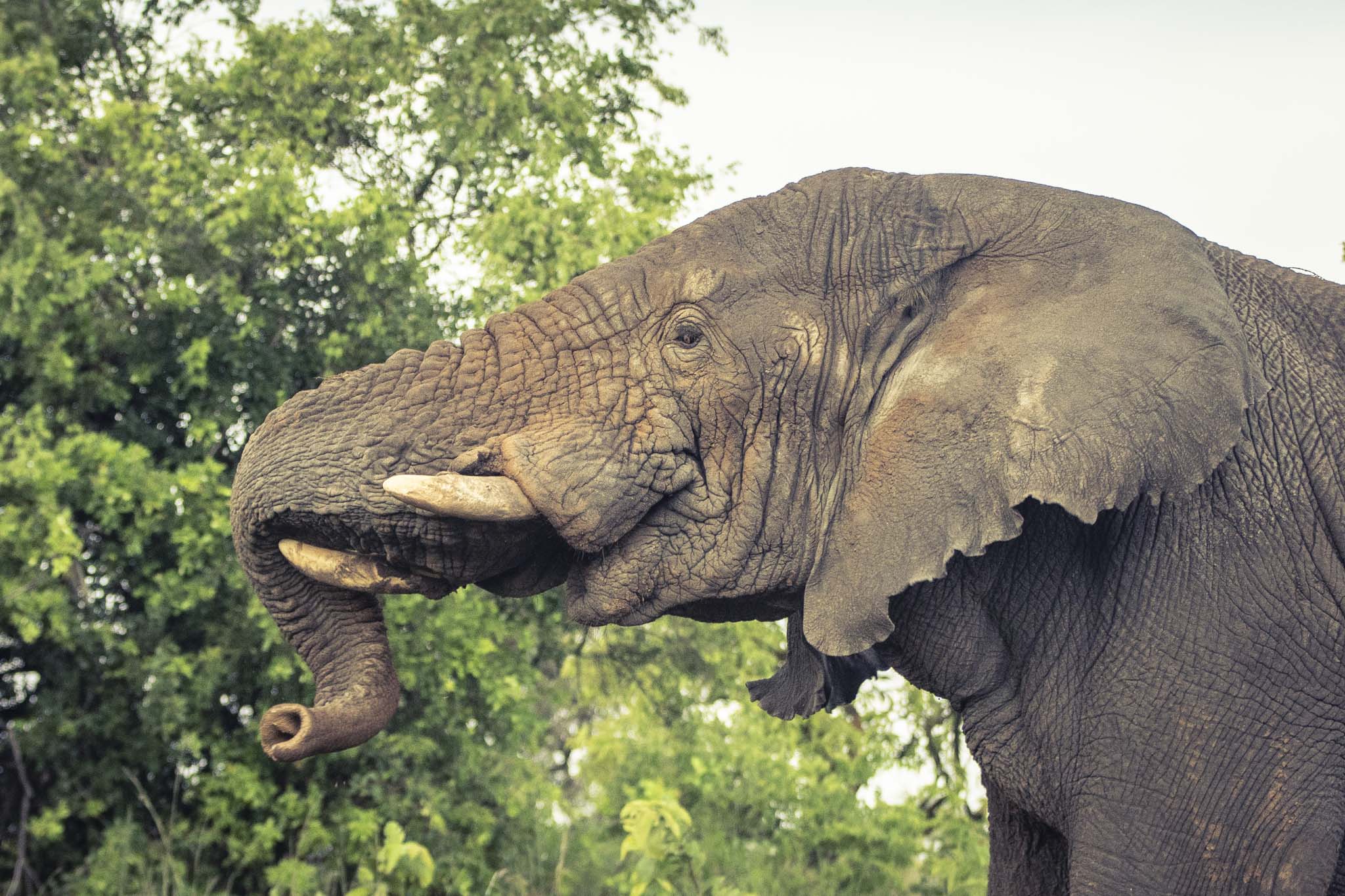 DISCOVER RWANDA WITH MEMORABLE EXPERIENCES